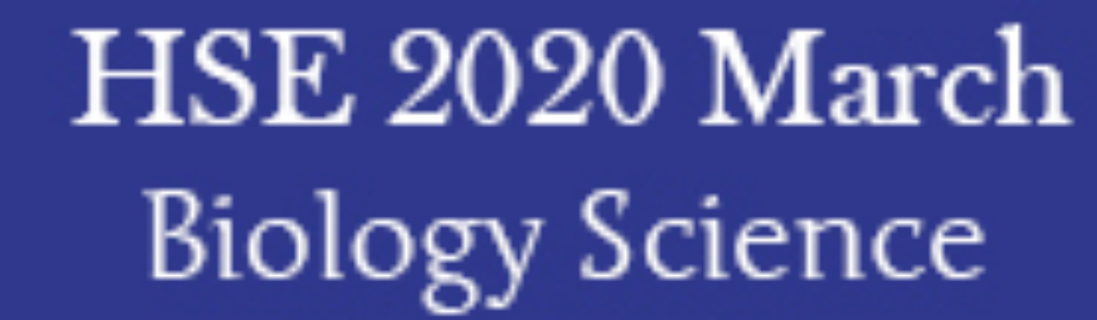 logo3